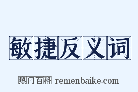 敏捷反义词是什么意思的图片